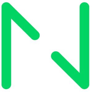 Netguru logo